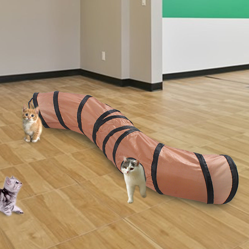 室内でS字トンネルで遊ぶ猫