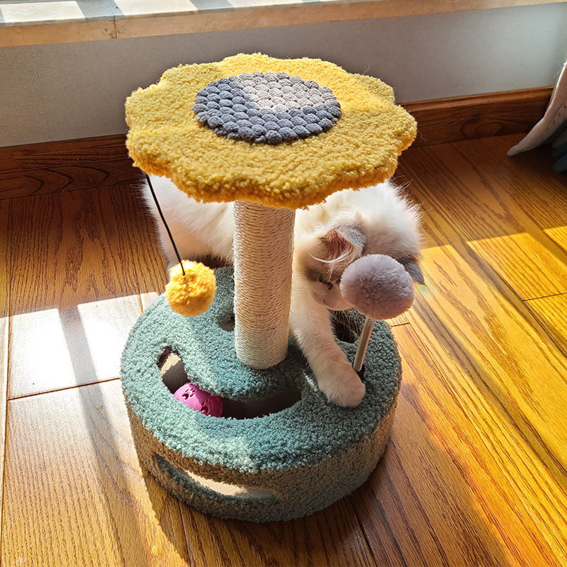 ベースに入る猫