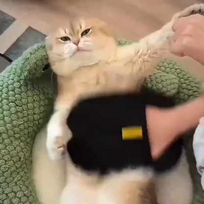 猫を抜け毛取りミトンでなでているところ