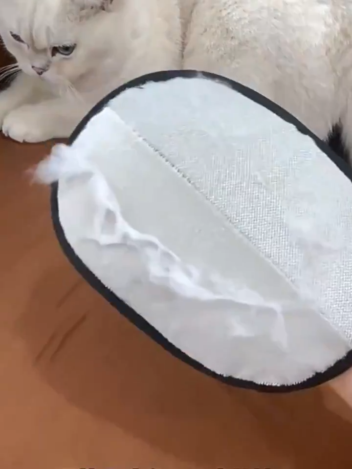 ミトンの両面の構造